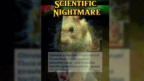 Scientific Nightmare: I am pretty sure these demonic hamsters will be the cause of Zombie Apocalypse