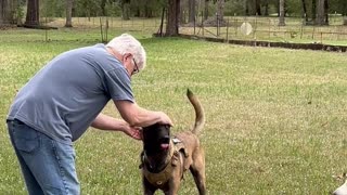 Cowboy meets his canine cousin’s for the first time