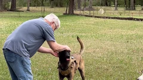 Cowboy meets his canine cousin’s for the first time