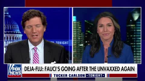 Tulsi Gabbard on the Last Lying Press Conference of Anthony Fauci (11.22.22)