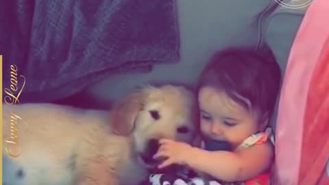 baby and dog cute moment