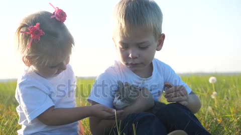 children brother and sister hold play with a small kitten