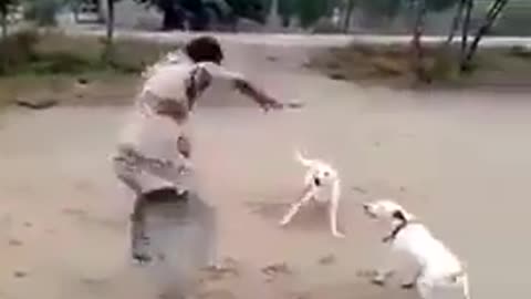 Man plays with dogs with out catch them