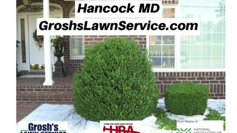 Shrub Trimming Hancock MD Landscaping Contractor