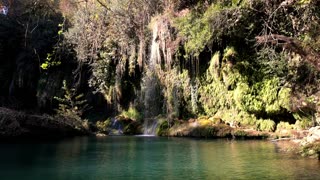 Relaxing morning in Rainforest with birds and waterfall sounds, Sleep Music, Relaxing Stress Relief