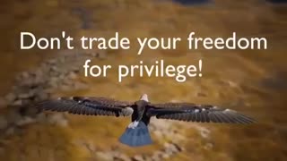 Privilege vs Freedom.