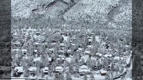 🌨️❄️ ALERT: Flagstaff, Arizona, is a magical winter landscape turned upside down!
