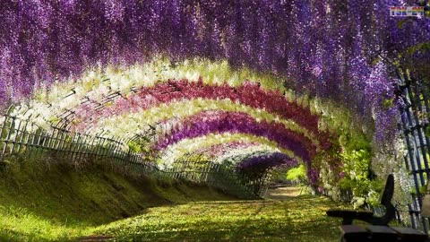 The Most Beautiful Gardens in the World
