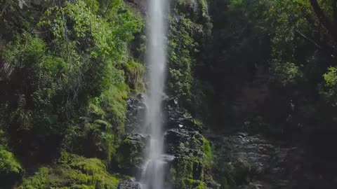 Nature Symphony: Serene Mountain and Waterfall Meditation #nature #beautiful #meditation #ambiance