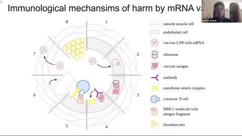 Sucharit Bhakdi - Latest info regarding the covid vaccines, Oct 2022