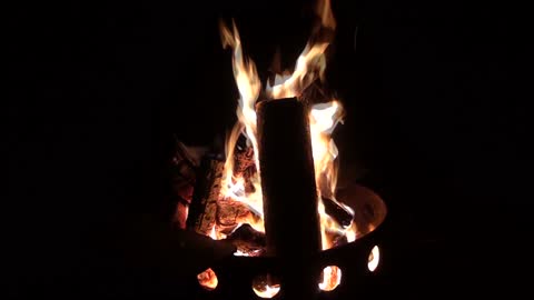 WDWBUZZ Campfire to Save Florida
