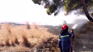 Firefighters battle to control wildfires near Athens