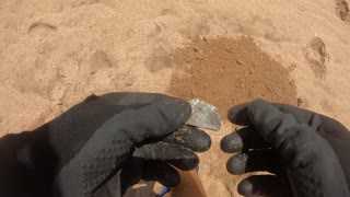 beach metal detecting (3)