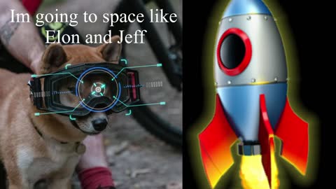 Funny dogs want to go space #