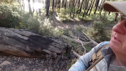 Bibbulmun Track part 25 Yabberup to Noggerup Shelter