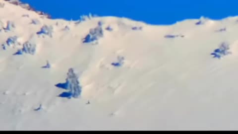 A Bigfoot Captured with Spotting Telescope Running in Deep Snow Up a Wasatch Mountain Peak