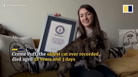 Meet Flossie, the world’s oldest living cat at nearly 27 years old