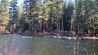 Exploring the Shoreline of Metolius River National Recreation Area – Central Oregon