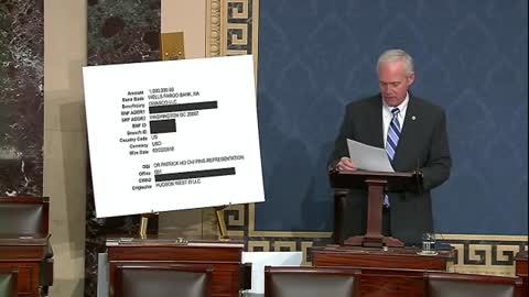 'Let That Sink In A Minute': Ron Johnson Displays Alleged Bank Records Of Hunter Biden