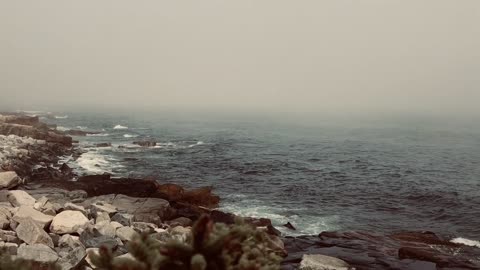 Acadia National Park | Schoodic Peninsula