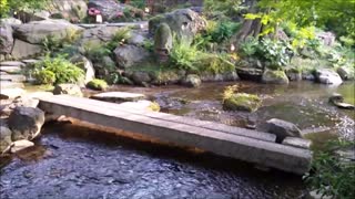Murin An Kyoto - A walk through the Japanese Garden
