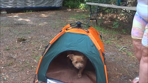 Bruno new tent