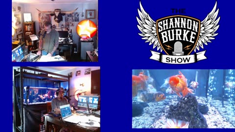 The Shannon Burke Show