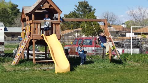 Border Collie patrols the playground