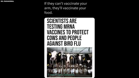 THE FAKE BIRD FLU PANDEMIC WILL SOON BE ANNOUNCED AND MANDATORY POISON VACCINES WILL BE MANDATORY