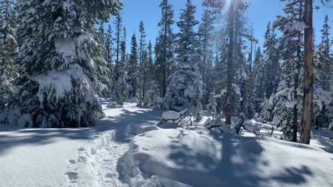 Twinkling Snow – Central Oregon – Swampy Lakes Sno-Park