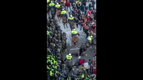 Justin Trudeau Canadian War Horses Crush Peaceful Protestors To Death