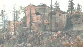 Algerian brothers left homeless by wildfires
