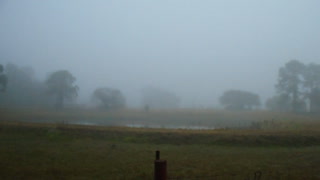 A foggy Friday on Venus Ranch #PGIF