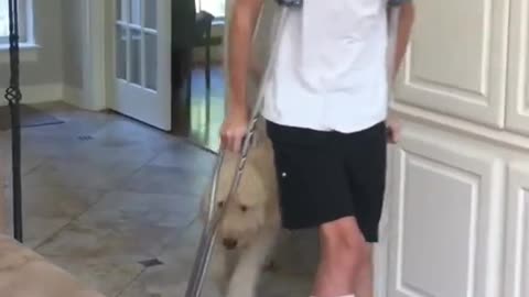 A dog mocks a teenager's broken leg while they "walk"