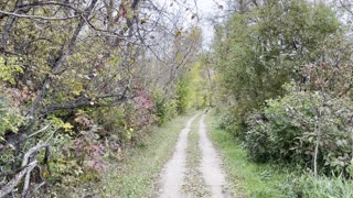 Copper and Odin on the Trans Canada Trail