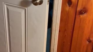 Polite Bear Closes Door On His Way Out