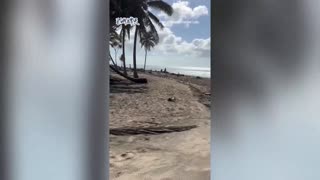 Así quedó Tonga tras el tsunami en Tonga