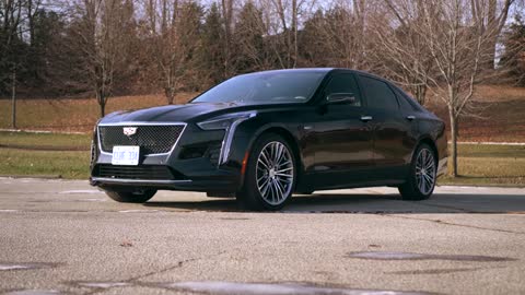 I heard you want a home. Is it the Balinese family? # Cadillac ct6