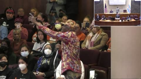 Black Chicago resident EXPLODES at far-left city council over migrant crisis