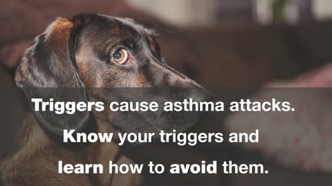 What You Need To Know Asthma