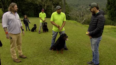 ROTTWEILER, O CACHORRO DO DEMÔNIO! | RICHARD RASMUSSEN