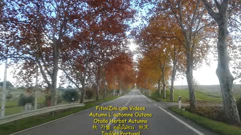 #Autumn #Automne #Outono #Otoño #Herbst #Autunno #秋 #가을 #ฤดูใบไม้ร่วง #秋天 #Toulões #Touloes #Portugal #Fitinizini #Fitinizinicom