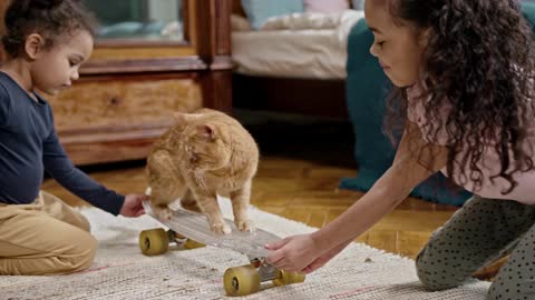 Kid playing with their cat.