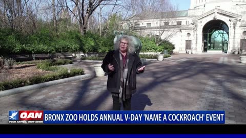 Bronx Zoo Holds Annual V-Day 'Name A Cockroach' Event