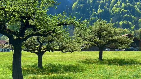 Amazing Scenic Beauty Of Switzerland ❤️❤️