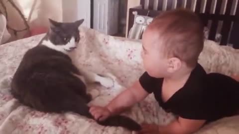 Cats and babies fighting eachother 😳😬
