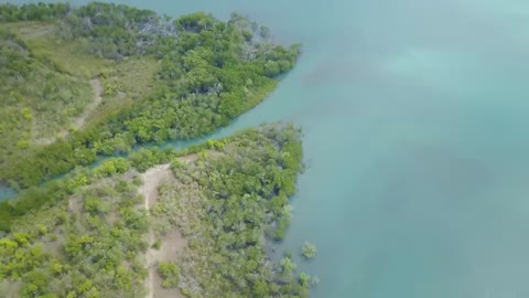 Hidden coastal Creek Fishing