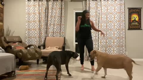 Practicing my choreo to an audience of two!