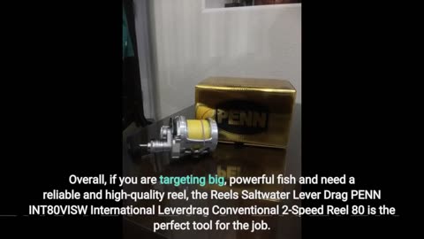 Customer Reviews: Reels Saltwater Lever Drag PENN INT80VISW International Leverdrag Conventiona...