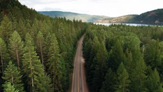 Road In The Middle Of A Forest